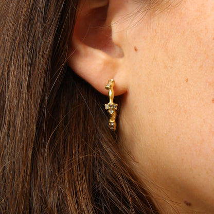 SPARK hoops